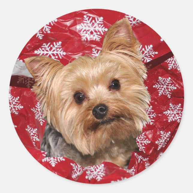 Sticker Rond Noël Yorkie (Devant)