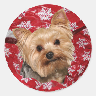 Sticker Rond Noël Yorkie