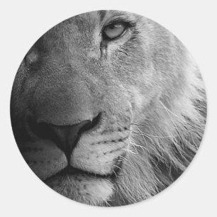 Sticker Rond Noir Blanc Motivation Leadership Lion Portrait