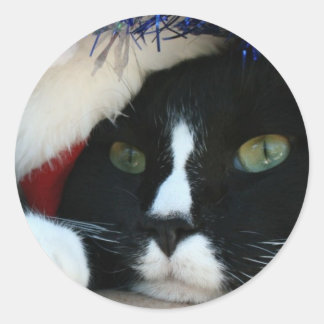 Sticker Rond Noir et blanc résigné chat santa chapeau bleu tins