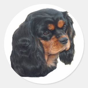 Sticker Rond Noir & Tan