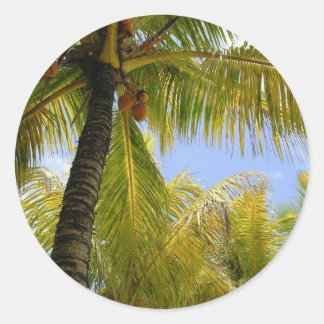 Sticker Rond Noix de coco