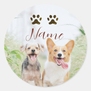 Sticker Rond nom animal de compagnie chien chat patte photo sim