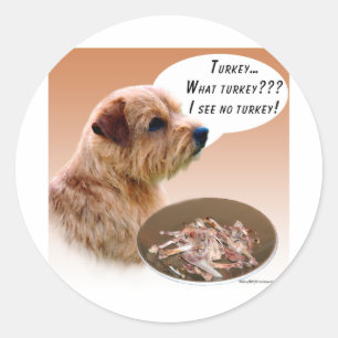 Sticker Rond Norfolk Terrier Turquie