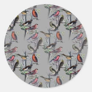 Sticker Rond Nouveaux accessoires motifs Birds, gris art vintag