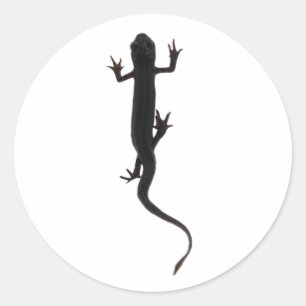 Sticker Rond Nouvelle silhouette de créature amphibie
