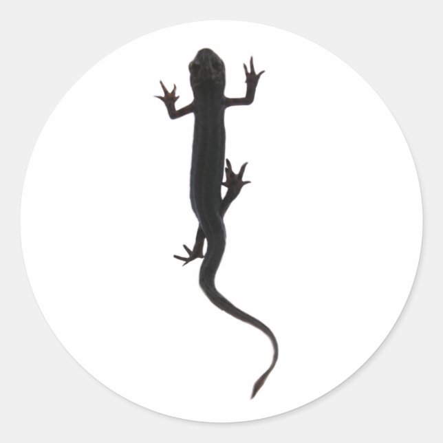 Sticker Rond Nouvelle silhouette de créature amphibie (Devant)