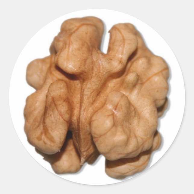 Sticker Rond Noyer (Devant)