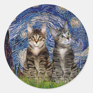 Sticker Rond Nuit étoilée - Deux chats en tigre Tabby