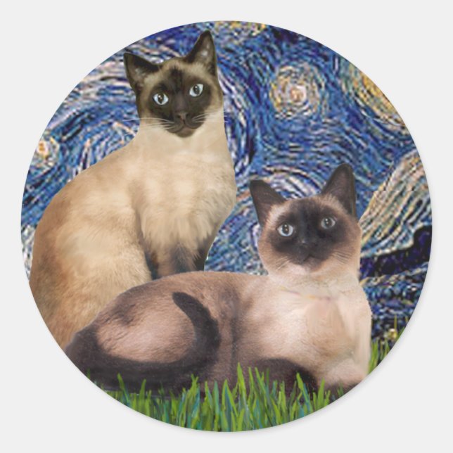 Sticker Rond Nuit étoilée - Deux chats siamois (Choc Pt) (Devant)