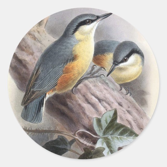 Sticker Rond Nuthatch (Devant)