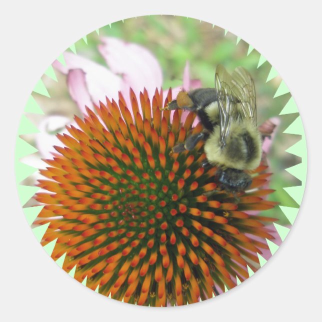Sticker Rond Objets d'abeilles du décorateur et du charpentier  (Devant)