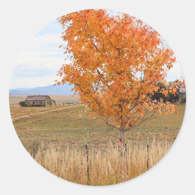 Sticker Rond Octobre lumineux  (Devant)