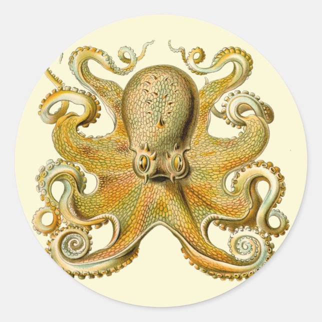 Sticker Rond Octopus illustration antique monstre marin (Devant)