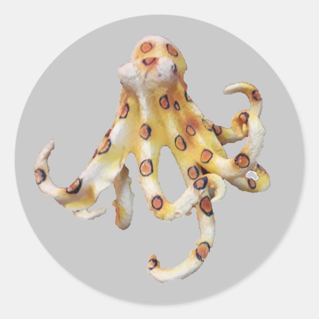 Sticker Rond Octopus unique sur Arrière - plan gris (Devant)