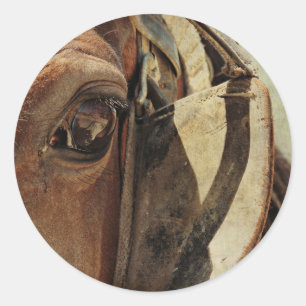 Sticker Rond Oeil amish de cheval