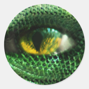 Sticker Rond Oeil de...