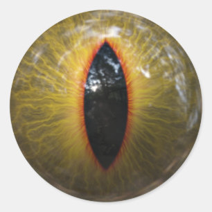 Sticker Rond Oeil de chat