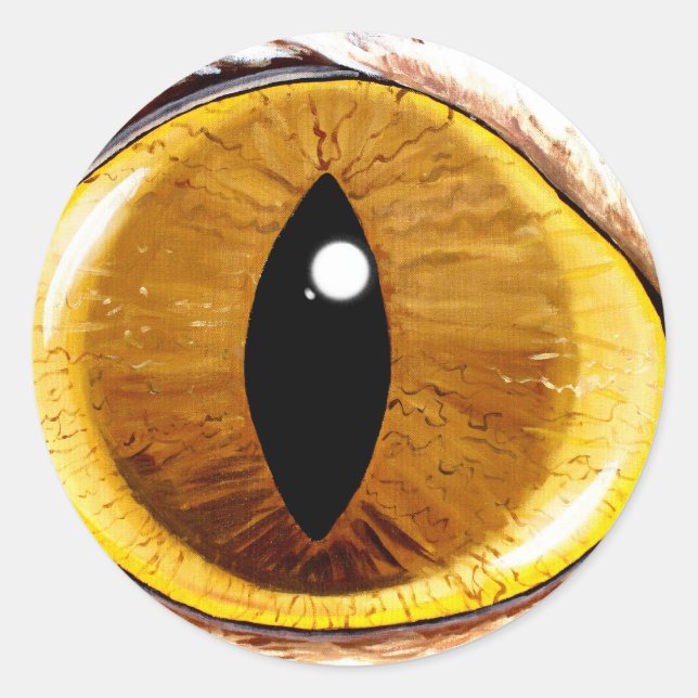 Sticker Rond Oeil de chat peint (Devant)