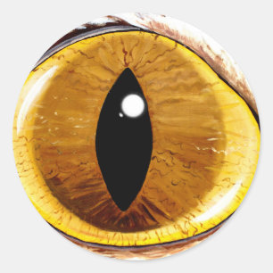 Sticker Rond Oeil de chat peint