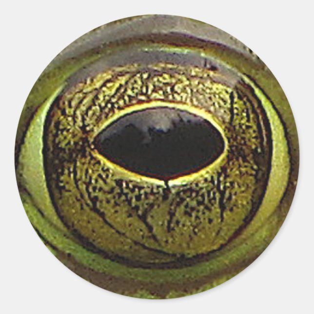 Sticker Rond OEil de grenouille (Devant)