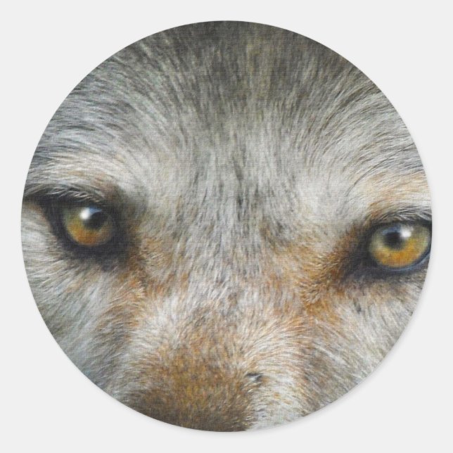 Sticker Rond Oeil de loup gris étoile Art de la faune (Devant)