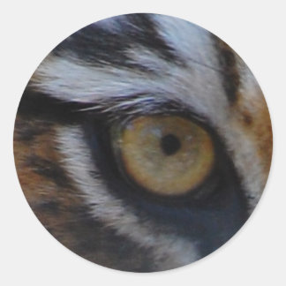 Sticker Rond Oeil du tigre
