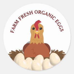 Sticker Rond Oeufs Biologiques Frais De Ferme Poulet Hen