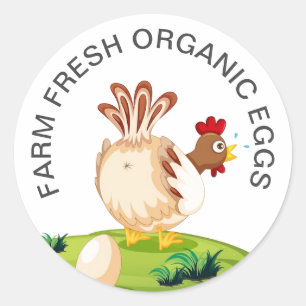 Sticker Rond Oeufs De Ferme Frais Poulet