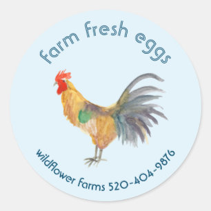 Sticker Rond OEufs de poulet d'aquarelle à vendre produit perso
