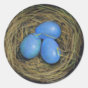 STICKER ROND OEUFS D'OISEAU DANS LE NID : ART DE RÉALISME :