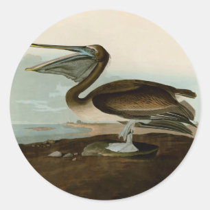 Sticker Rond Œuvre d'art de Pélican Brun de John James Audubon