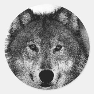 Sticker Rond Oeuvre de Loup noir et blanc