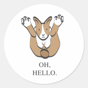 STICKER ROND OH, BONJOUR.