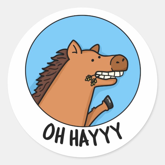 Sticker Rond Oh Hayyyyy Funny Horse Pun (Devant)