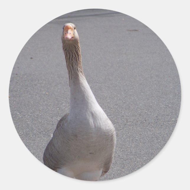 Sticker Rond Oie ! (Devant)