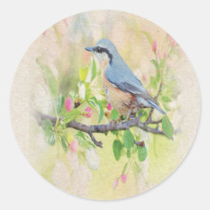 Sticker Rond Oiseau