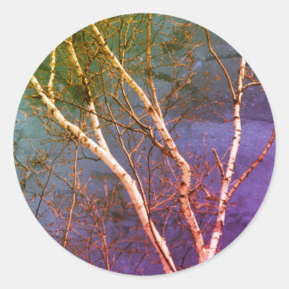 Sticker Rond Oiseau blanc Ciel bleu Art naturel