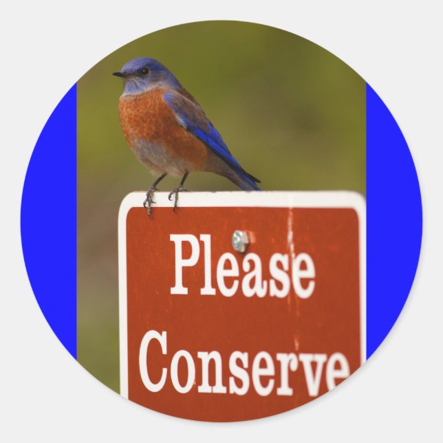 Sticker Rond oiseau bleu (Devant)