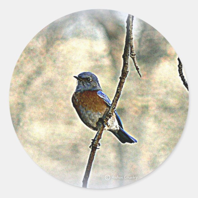 Sticker Rond Oiseau bleu de bonheur (Devant)