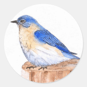 Sticker Rond Oiseau bleu de repos