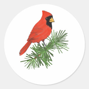 Sticker Rond Oiseau cardinal rouge sur pin