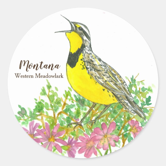 Sticker Rond Oiseau-chanteur de l'Ouest du Montana Meadowlark (Devant)