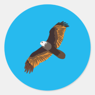 Sticker Rond Oiseau d'aigle volant
