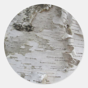 Sticker Rond Oiseau de Birch Peeling Old Photo Art