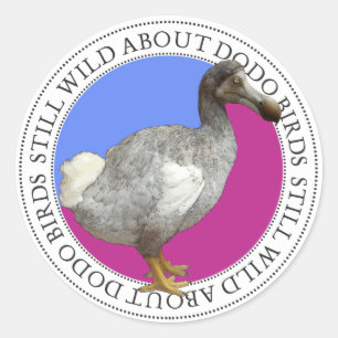 Sticker Rond Oiseau de dronte