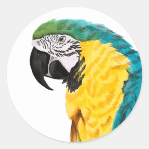 Sticker Rond Oiseau de perroquet tropical