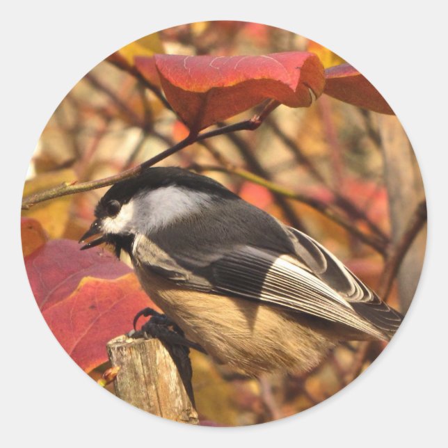 Sticker Rond Oiseau de poulet mignon aux feuilles d'automne ros (Devant)