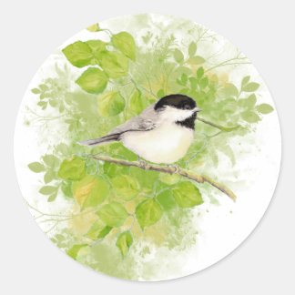 Sticker Rond Oiseau de poulet mou dans le peuplier