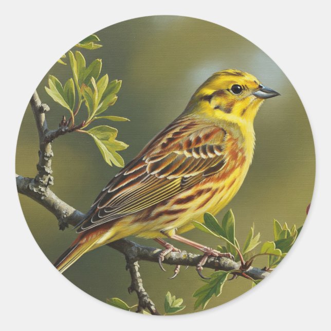 Sticker Rond Oiseau d'État de l'Alabama Yellowhammer (Devant)